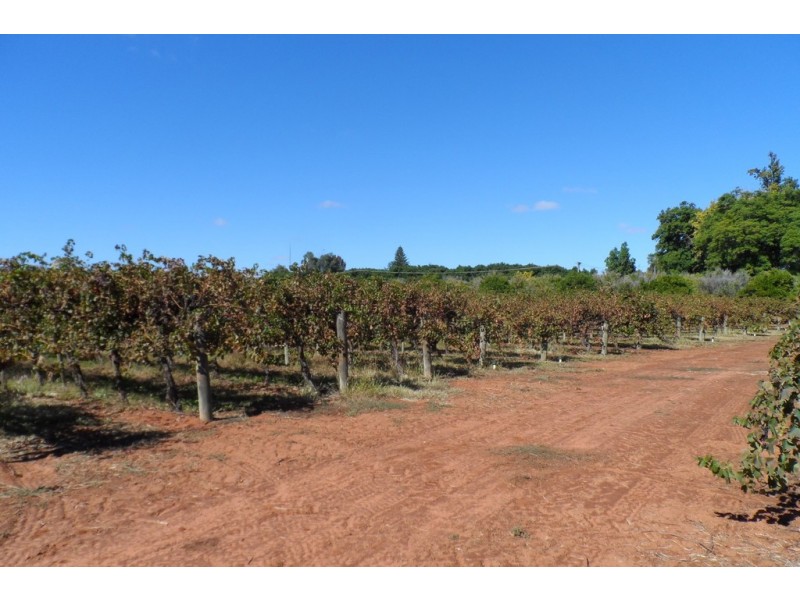 1 and 2 Tarcoola Street, Renmark SA 5341