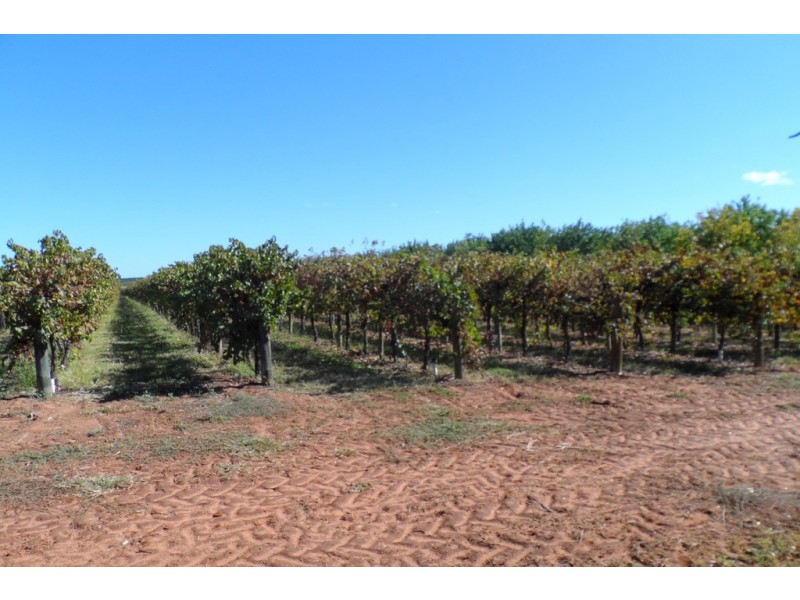 1 and 2 Tarcoola Street, Renmark SA 5341