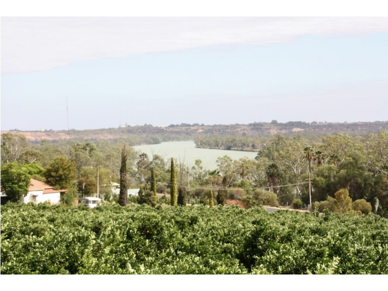 359 Ramco Road, Waikerie SA 5330