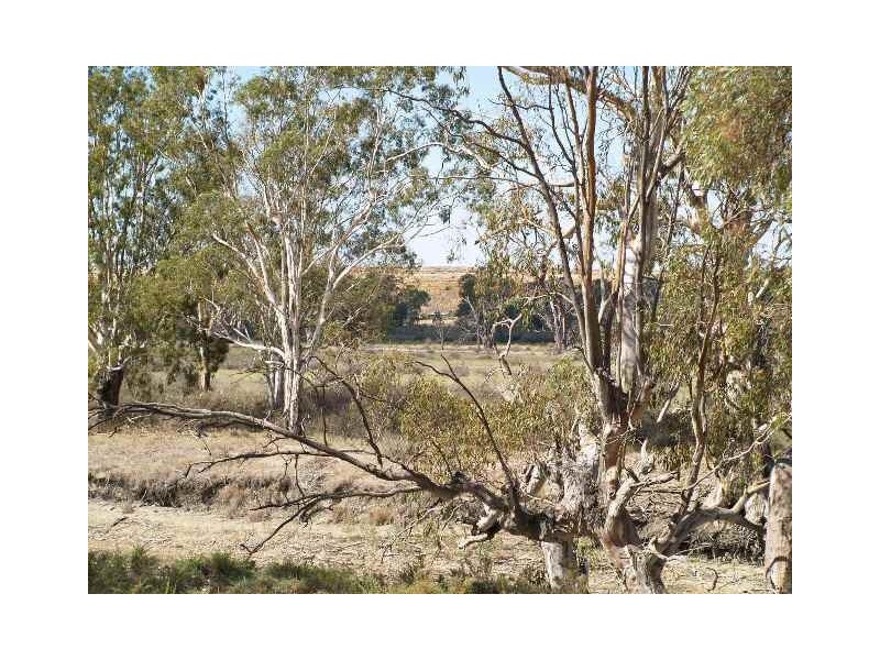 54 and 56 Murraylands Road, Blanchetown SA 5357