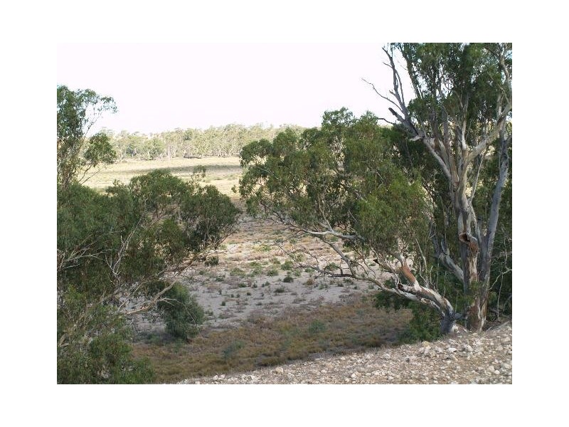 54 and 56 Murraylands Road, Blanchetown SA 5357