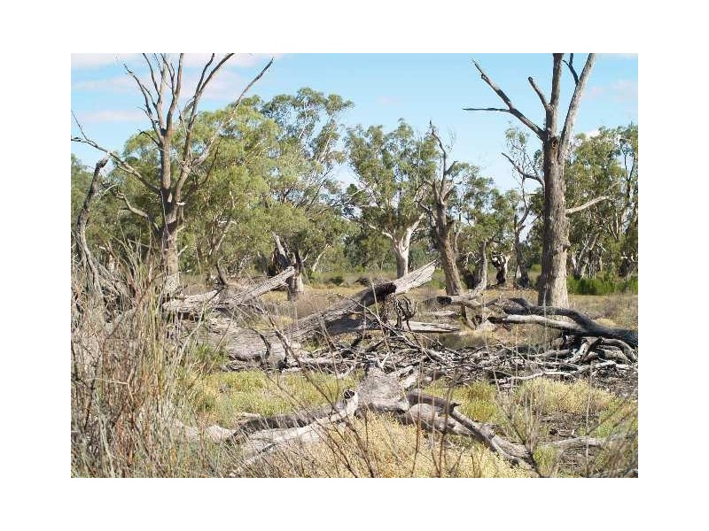 54 and 56 Murraylands Road, Blanchetown SA 5357