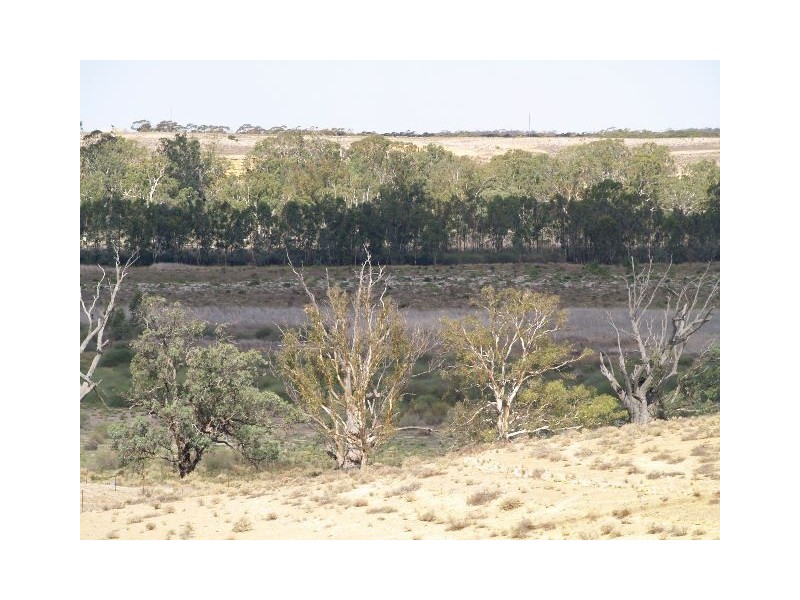 54 and 56 Murraylands Road, Blanchetown SA 5357