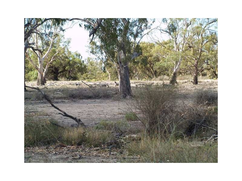 54 and 56 Murraylands Road, Blanchetown SA 5357