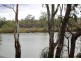 202 scotts creek road, Morgan SA 5320