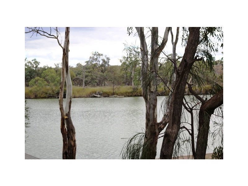 202 scotts creek road, Morgan SA 5320