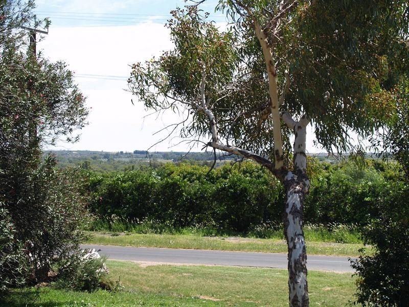 188 Virgo Road, Waikerie SA 5330