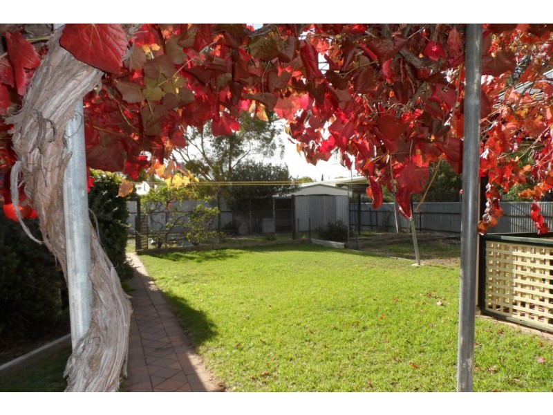 26 Seventeenth Street, Renmark SA 5341