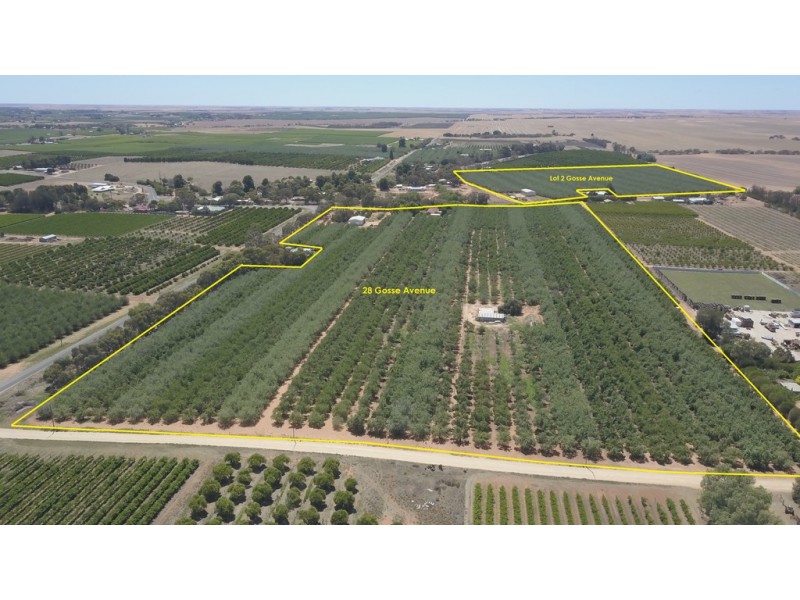 28 Gosse Avenue, Loxton SA 5333