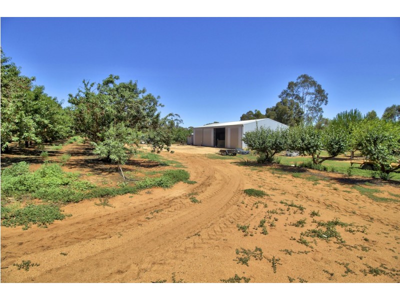 28 Gosse Avenue, Loxton SA 5333