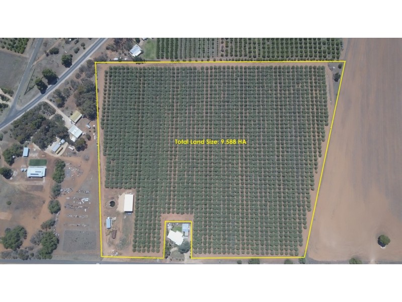 28 Gosse Avenue, Loxton SA 5333