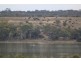 24 Helbig Drive, Blanchetown SA 5357
