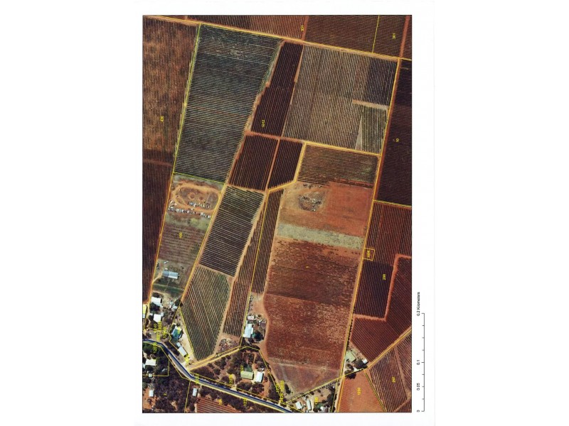Allotment 1012 Bollenhagen Road, Monash SA 5342 Floorplan