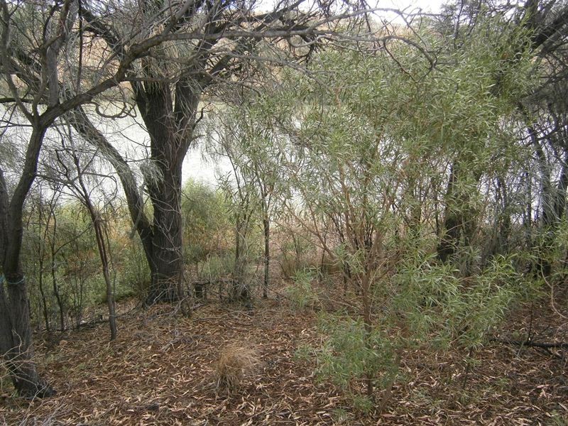 120 Kingsriverside Drive, Cadell SA 5321