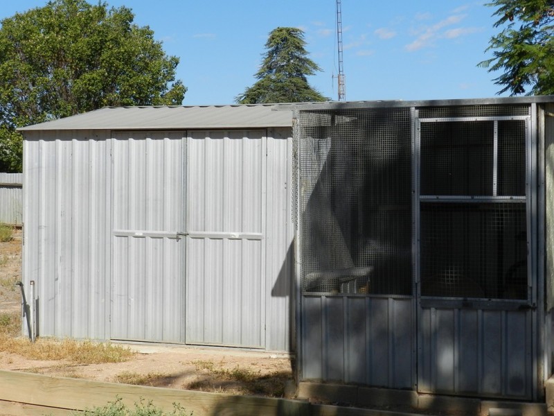 11 Langdon Terrace, Barmera SA 5345