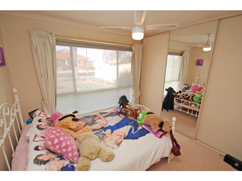 10 Huckstepp Court, Berri SA 5343