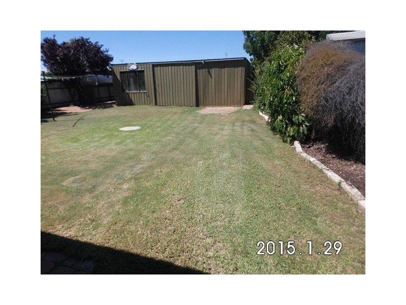 4 Barrington Street, Renmark SA 5341
