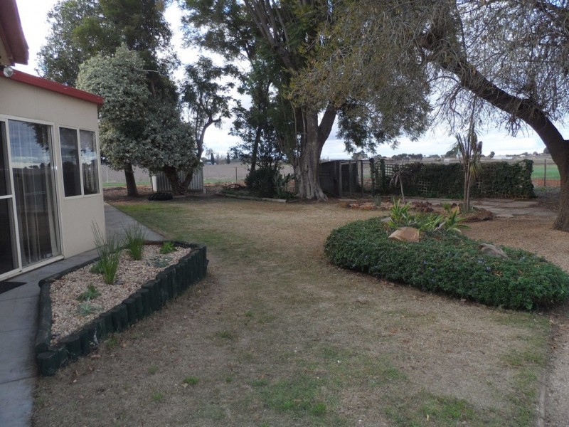 408 Balfour Ogilvy Avenue, Loxton SA 5333