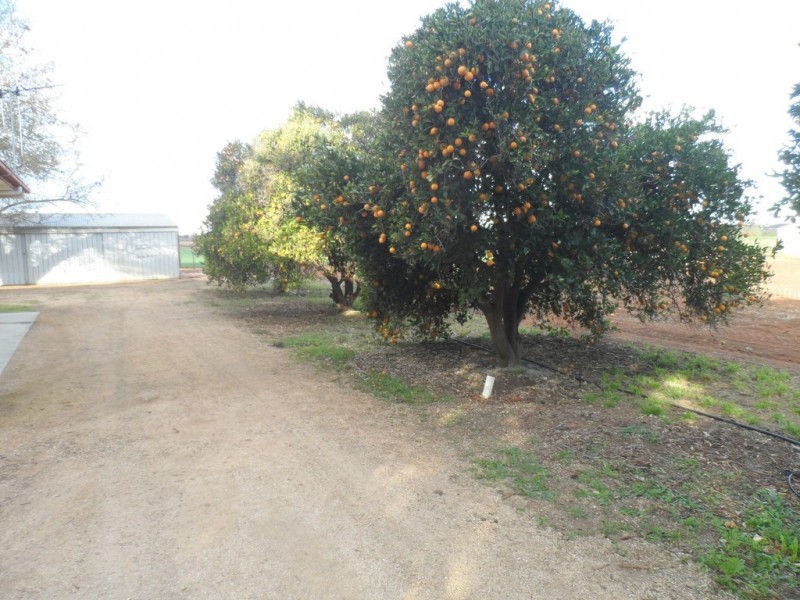 408 Balfour Ogilvy Avenue, Loxton SA 5333