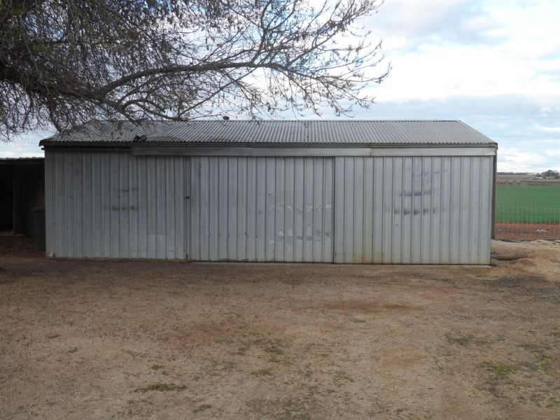 408 Balfour Ogilvy Avenue, Loxton SA 5333