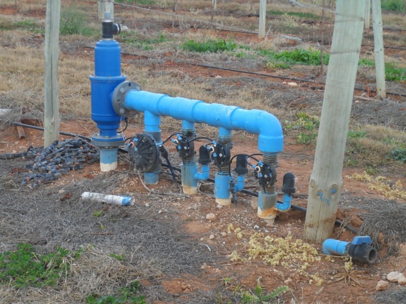 Lot 524 Balfour Ogilvy Avenue, Loxton SA 5333