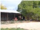 Lot 524 Balfour Ogilvy Avenue, Loxton SA 5333