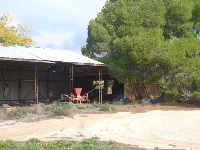 Lot 524 Balfour Ogilvy Avenue, Loxton SA 5333