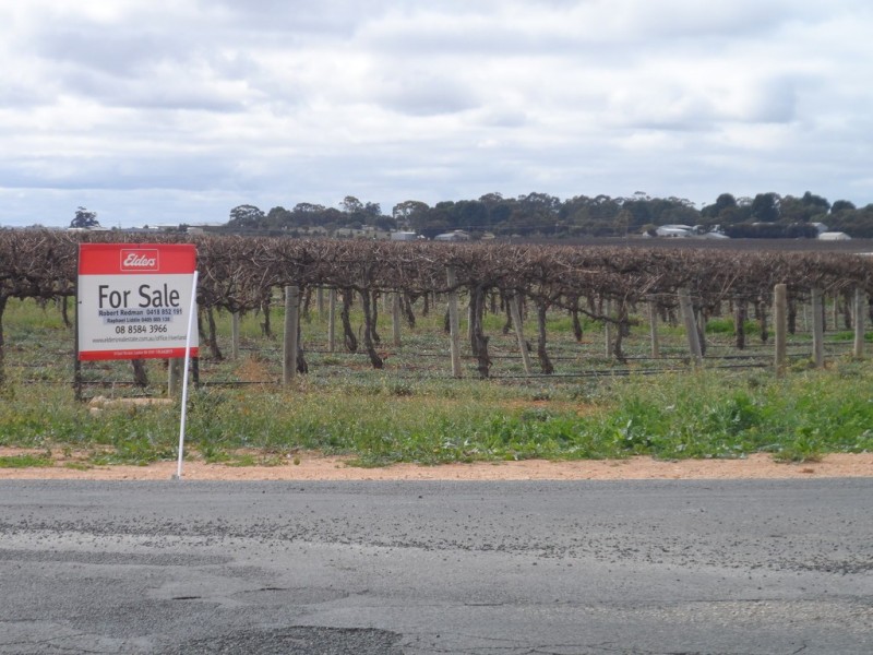 Lot 524 Balfour Ogilvy Avenue, Loxton SA 5333