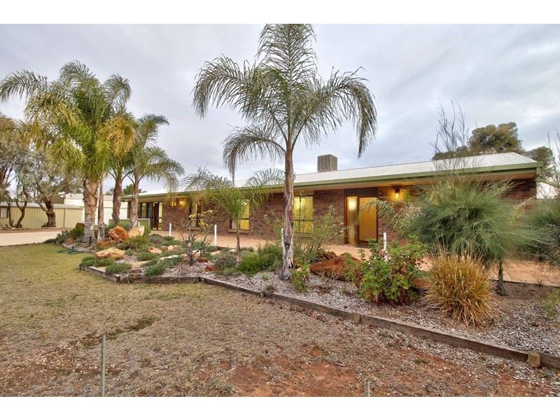 386 Old Sturt Highway, Barmera SA 5345