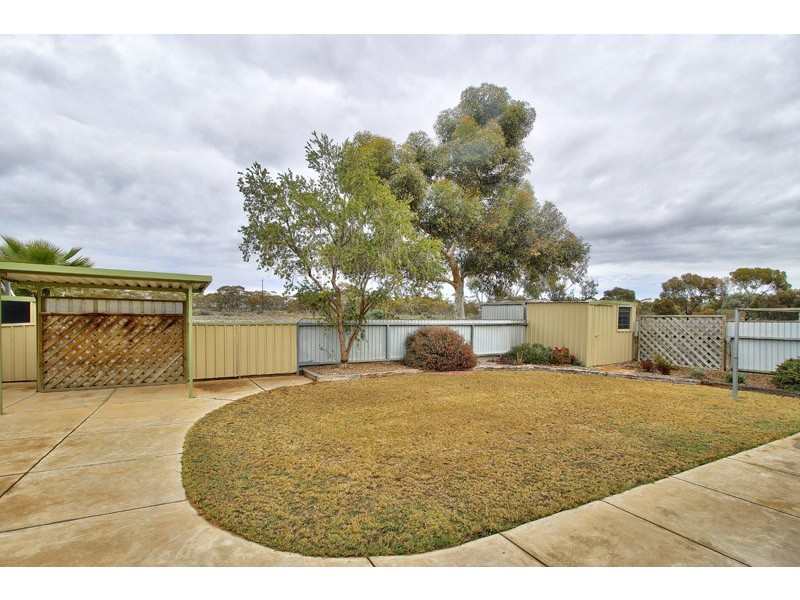 386 Old Sturt Highway, Barmera SA 5345