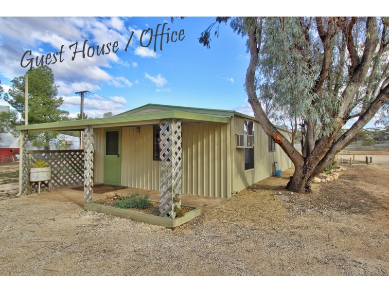 386 Old Sturt Highway, Barmera SA 5345