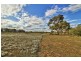 386 Old Sturt Highway, Barmera SA 5345