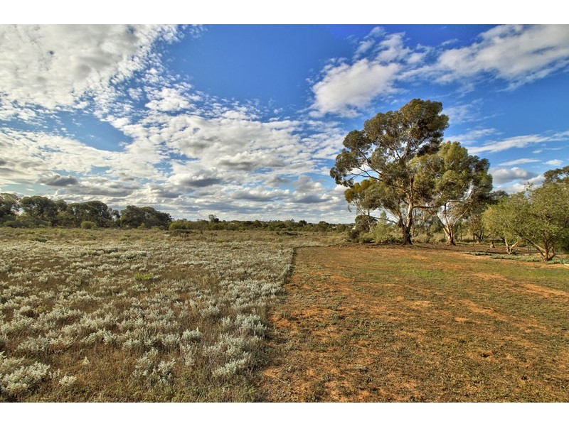 386 Old Sturt Highway, Barmera SA 5345