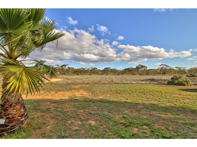 386 Old Sturt Highway, Barmera SA 5345