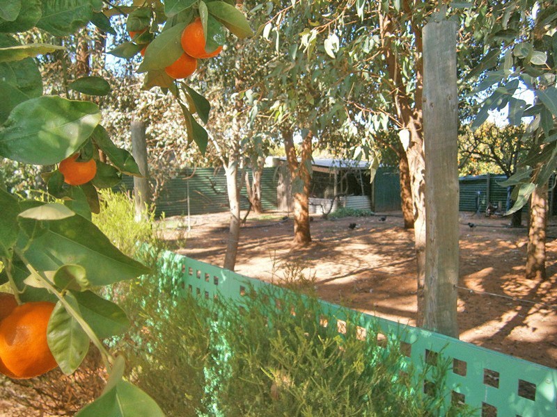 15 Cameron Street, Sunlands SA 5322