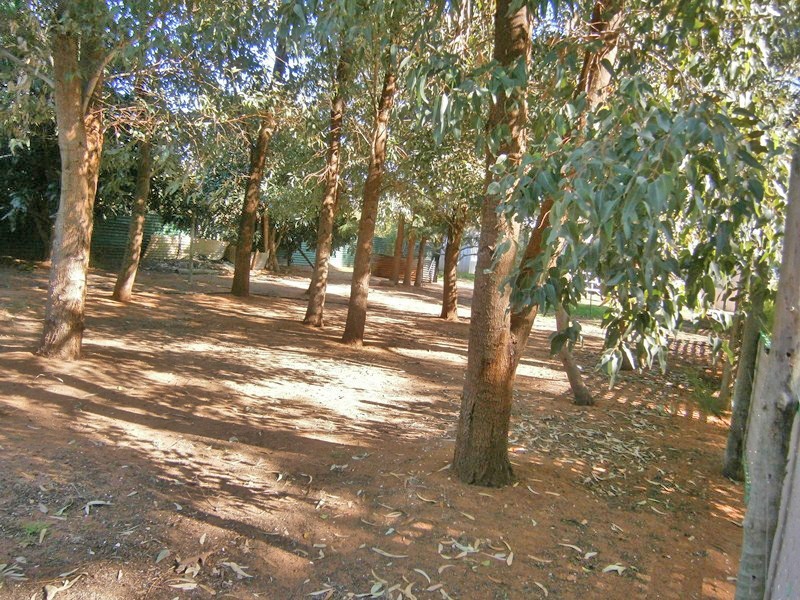 15 Cameron Street, Sunlands SA 5322