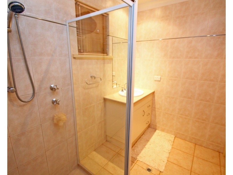 175 Chowilla Street, Renmark SA 5341