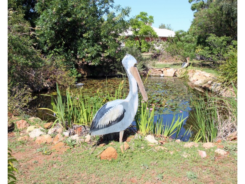 175 Chowilla Street, Renmark SA 5341