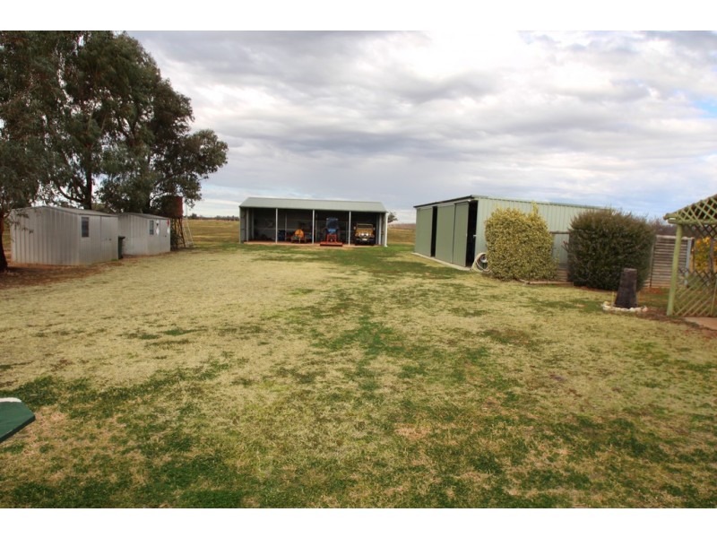 152 Barwon Street, Renmark SA 5341