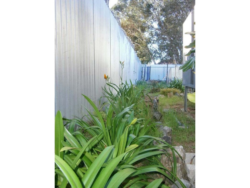 5 Fulwood Street, Waikerie SA 5330