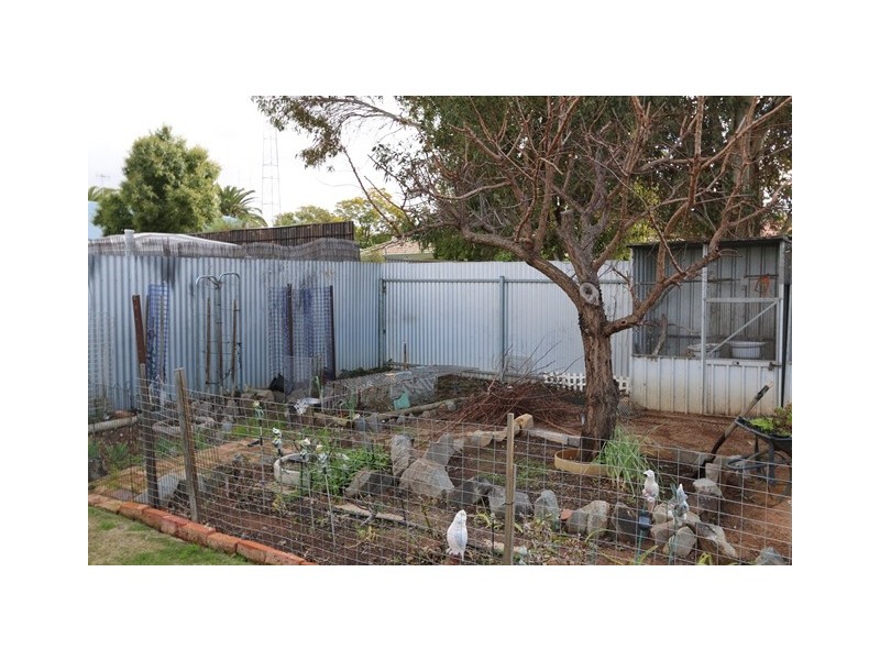 5 Fulwood Street, Waikerie SA 5330