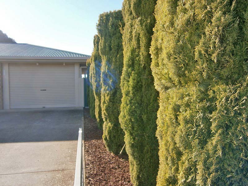 5 Fulwood Street, Waikerie SA 5330