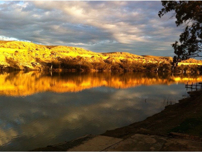 31 Pelican Point Road, Morgan SA 5320