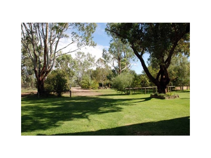 31 Pelican Point Road, Morgan SA 5320