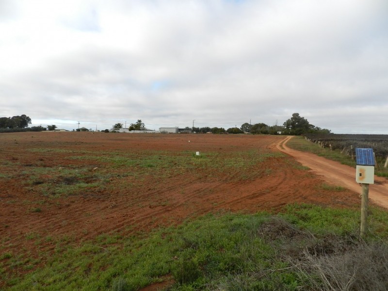 Lot 2 855 Hunt Road, Barmera SA 5345