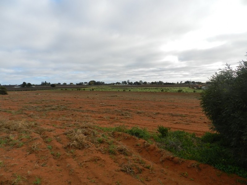Lot 2 855 Hunt Road, Barmera SA 5345
