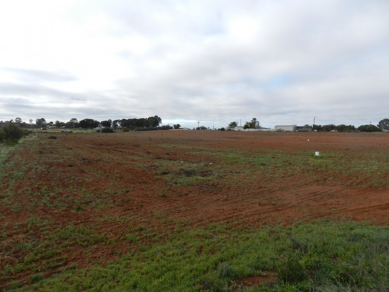 Lot 2 855 Hunt Road, Barmera SA 5345