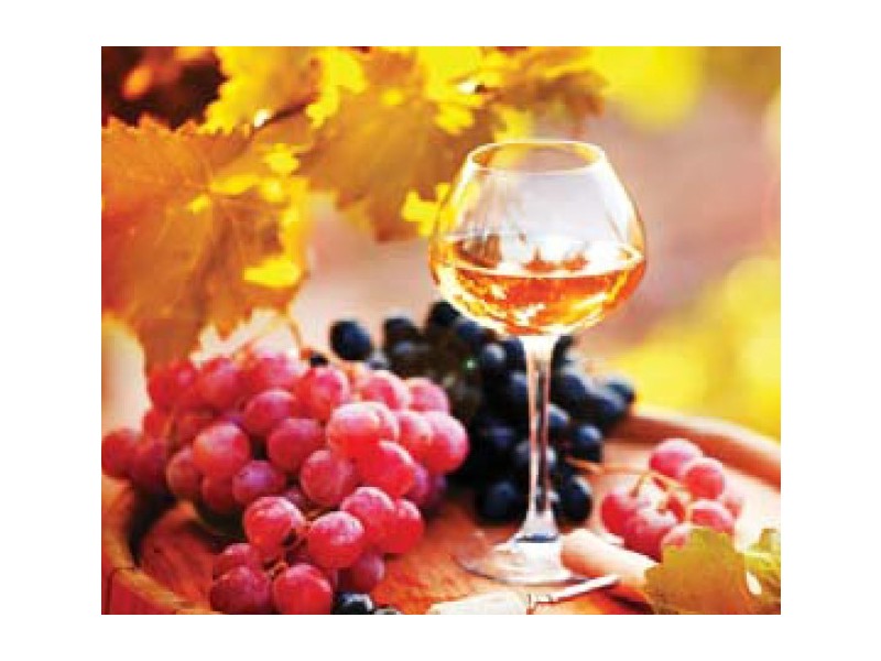 Lot 12, 1-14 Queen Elizabeth Drive, Barmera SA 5345