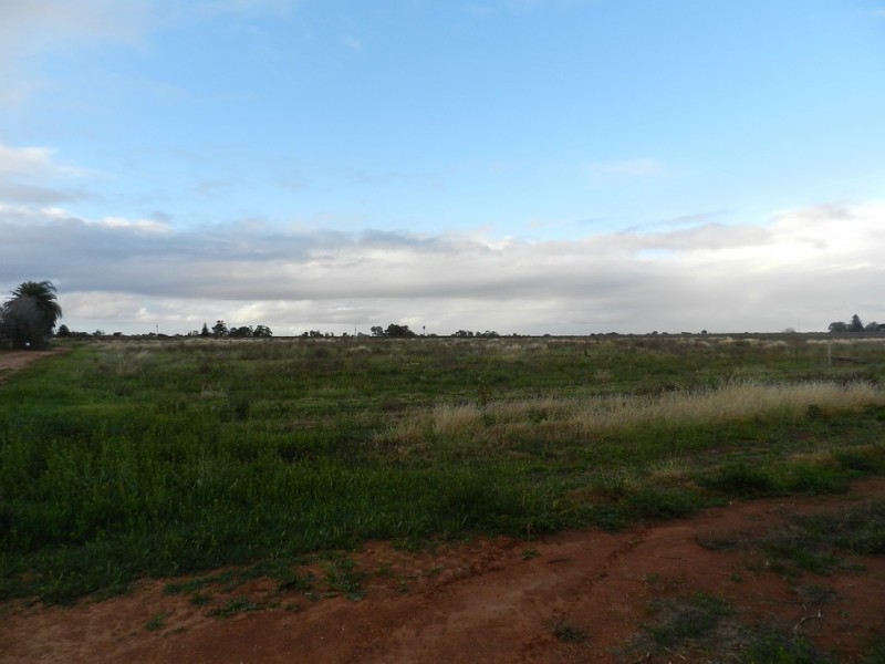 Lot 59 Dunstone Road, Barmera SA 5345