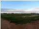Lot 59 Dunstone Road, Barmera SA 5345